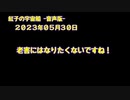 紅子の宇宙船 －音声版－ 2023年05月30日
