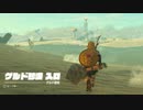 (ティアキン) ゼルダを探す旅part16  ゲルド砂漠【 ゼルダの伝説ティーアズオブザキングダム The Legend of Zelda Tears of the Kingdom 】