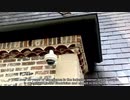 Dallas Landscape Lighting