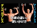 【筋トレ】ダンベルショルダープレスとアーノルドプレスの効果の違いと使い分け方 | ボディビルチャンピオンが解説【ビーレジェンド プロテイン】