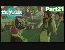 【21】ぼっち勇者の天空探検【ゼルダの伝説ティアーズオブザキングダム】