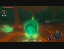 #161,ゼルダの伝説ティアーズオブザキングダム