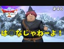 #48 【ドラゴンクエストⅩオフライン】ついにネルゲルと対決か！？【目覚めし五つの種族】※ネタバレ注意