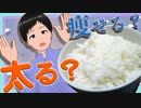 【糖質過剰】三日間白米だけで生活したら 太る？痩せる？