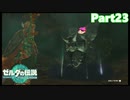 【23】ぼっち勇者の天空探検【ゼルダの伝説ティアーズオブザキングダム】