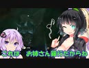 【ゼルダTOTK】蛮勇、悪知恵、暴力のトライフォースゆかり【VOICEROID実況プレイ】52