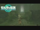 【ゼルダの伝説　ティアーズオブザキングダム】　冒険の記録　♯031　フィローネ地方