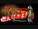 R版で知識を上書きされた懐古厨が PS版・俺の屍を越えてゆけ をじっくりと実況してみた。第丗弐頁