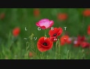 【閲覧注意】 ＬＧＢＴ  ～ソドム～