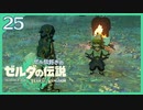 #025【ゼルダの伝説ティアーズオブザキングダム】ちょっと世界を翔けてくる【実況プレイ】