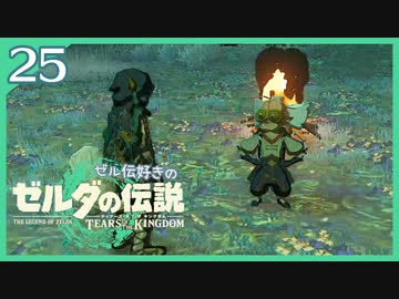 #025【ゼルダの伝説ティアーズオブザキングダム】ちょっと世界を翔けてくる【実況プレイ】