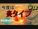 やっぱり炎タイプもいた【TEARS OF THE KINGDOM】＃38