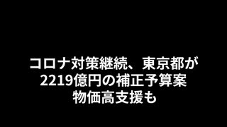 コロナ対策継続、東京都が2219億円の補正予算案 物価高支援も