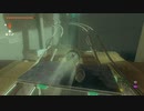 #166,ゼルダの伝説ティアーズオブザキングダム