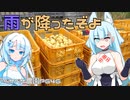 2023年5月31日　農作業日誌P646　雨が上がったからジャガイモ収穫し始めたら大雨が降ってきた