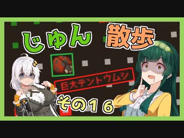 【Cataclysm:DDA】ずん子とあかりが行く、じゅん散歩　その１６