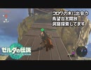 コログの支配者に出会う #11【ゼルダの伝説 ティアーズオブザキングダム】ティアキン