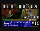 【ボクと魔王】33歳、脱サラして魔王と一緒に世界征服の旅に出る　#15【実況プレイ】