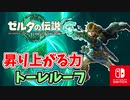 【ゼルダの伝説ティアーズオブザキングダム実況】ハイラルに再び異変が？新たな旅にでます！part15