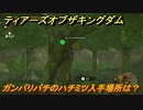 ゼルダの伝説ティアーズオブザキングダム　ガンバリバチのハチミツ入手場所は？　＃３９７　【ティアキン】