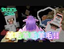 【Minecraft】ぱちぇがリベンジTUSBneo!! ver.3 part11【ゆっくり実況】