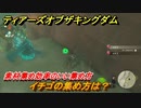 ゼルダの伝説ティアーズオブザキングダム　イチゴの集め方は？　素材集め効率のいい集め方　＃４０２　【ティアキン】