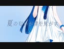 【オリジナル曲カバー】夏のせいにして/カイネ・ホワイトfeat.双葉湊音