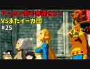 【ゆっくり実況】初めてのブレワイ無双！part25【ゼルダ無双】