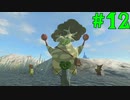 【ゼルダの伝説ティアーズ・オブ・ザ・キングダム】タン タララ ラ～～～～～～ン♪【ゆっくり実況】Part12