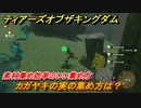 ゼルダの伝説ティアーズオブザキングダム　カガヤキの実の集め方は？　素材集め効率のいい集め方　＃４０３　【ティアキン】