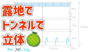 メロンを露地でトンネルで立体栽培する為の方法【メロン（市場小路）2023 part 3】