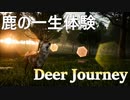 【プチ感動】野生のシカになってみたいんだぁぁぁぁ！【DEER JOURNEY】【動物シミュレーション】