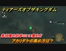 ゼルダの伝説ティアーズオブザキングダム　アカリダケの集め方は？　素材集め効率のいい集め方　＃４１５　【ティアキン】