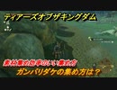 ゼルダの伝説ティアーズオブザキングダム　ガンバリダケの集め方は？　素材集め効率のいい集め方　＃４１７　【ティアキン】