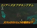 ゼルダの伝説ティアーズオブザキングダム　大マックストリュフの場所は？　素材集め効率のいい集め方　＃４２１　【ティアキン】