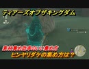 ゼルダの伝説ティアーズオブザキングダム　ヒンヤリダケの集め方は？　素材集め効率のいい集め方　＃４２４　【ティアキン】