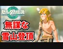 【実況】けんぴーのゼルダの伝説 ティアーズ オブ ザ キングダム #4
