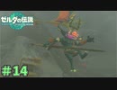 そんな登場の仕方ある？　「ゼルダの伝説～ティアーズ・オブ・ザ・キングダム」　＃14