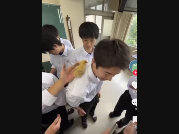 ホモと見るひよこと記念撮影しようとした陽キャの末路