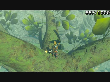ゼルダの伝説 ティアーズオブザキングダム 全コログのミの場所 13/15
