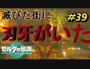 範馬刃牙じゃん【TEARS OF THE KINGDOM】＃39