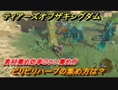 ゼルダの伝説ティアーズオブザキングダム　ビリビリハーブの集め方は？　素材集め効率のいい集め方　＃４３３　【ティアキン】