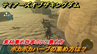 ゼルダの伝説ティアーズオブザキングダム　ポカポカハーブの集め方は？　素材集め効率のいい集め方　＃４４１　【ティアキン】