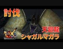 【実況】ぼっちハンターが行く！モンスターハンターXX第42回