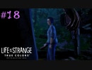 【実況】他人の感情がわかる能力とともに Part18【Life is Strange: True Colors】
