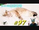 ラニの魔術師塔でラニに仕えてテンション上がったり個性的な仲間たちと交流を図ったりします【初見】エルデンリング実況／盗賊王物語【オフライン】#97
