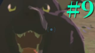 #9【実況】ｲﾇﾁｬﾝ【ゼルダの伝説TotK】