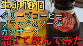 【完全栄養】　生卵10個にタリーズコーヒー ブラック&ソーダ ガッサータ混ぜたら最高のプロテインが完成しました　完全メシ カレーメシ 欧風カレー食べてみた507日目