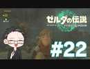 【実況プレイ】 ゼルダの伝説 ティアーズオブザキングダム part22 【いちご大福】