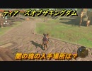 ゼルダの伝説ティアーズオブザキングダム　闇の塊の入手場所は？　素材集めの場所　＃４４７　【ティアキン】